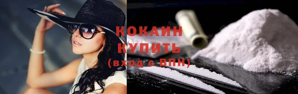 соль ск Алзамай