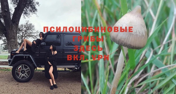 МДПВ Кукмор