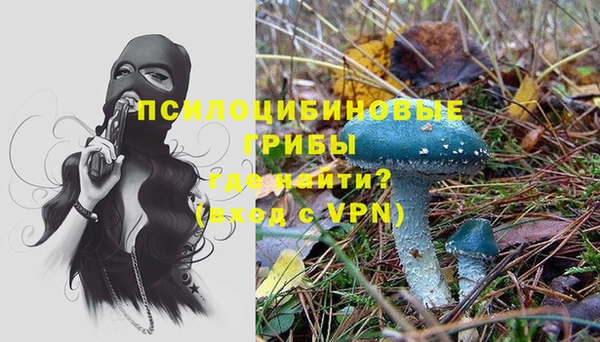 дмт Алексин