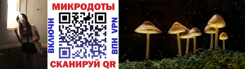 Галлюциногенные грибы Psilocybine cubensis Шатура