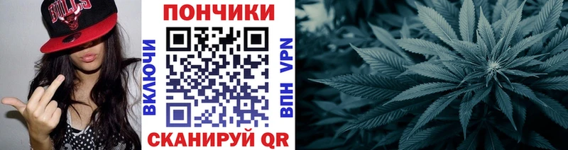 Канабис SATIVA & INDICA  Шатура 